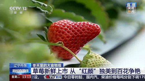 国产视频草莓